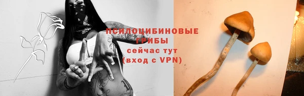 spice Приозерск