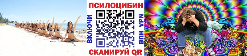 Купить  Сыктывкар  Галлюциногенные грибы MAGIC MUSHROOMS 